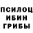 Псилоцибиновые грибы Psilocybe DIANA Pipia