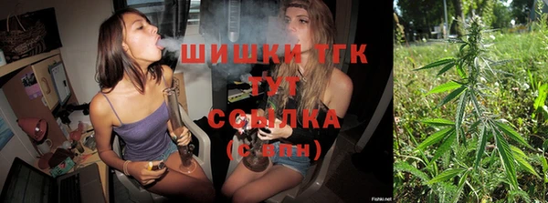 ECSTASY Алзамай
