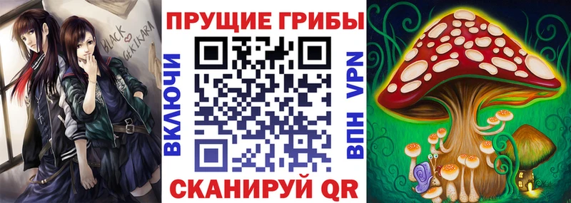 ссылка на мегу зеркало  Змеиногорск  Псилоцибиновые грибы Psilocybine cubensis 